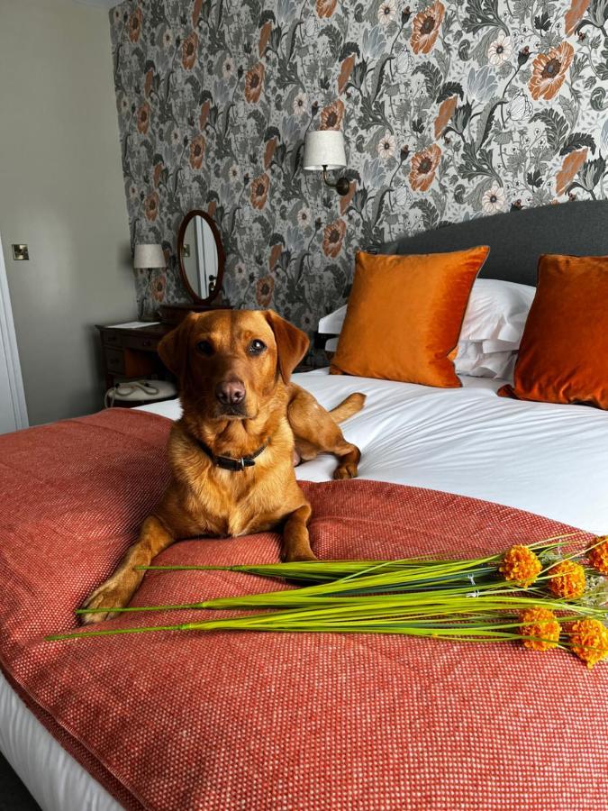 The Crown Pub And Hotel Manningtree Екстериор снимка